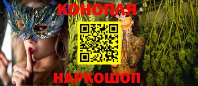 крисы Краснознаменск