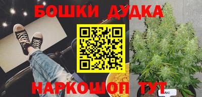 крисы Краснознаменск