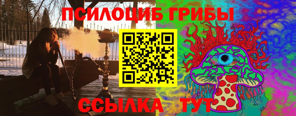 Галлюциногенные грибы Psilocybine cubensis  Вход с VPN  Среднеуральск 