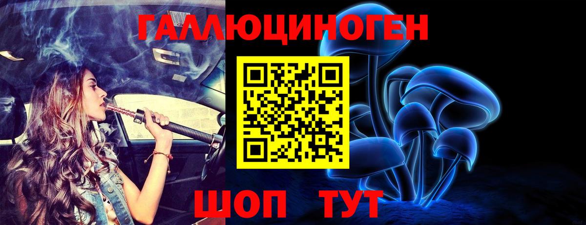 Галлюциногенные грибы Psilocybine cubensis Среднеуральск
